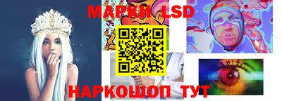 шишки Будённовск
