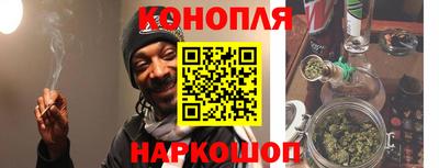 шишки Будённовск