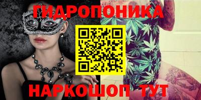 шишки Будённовск