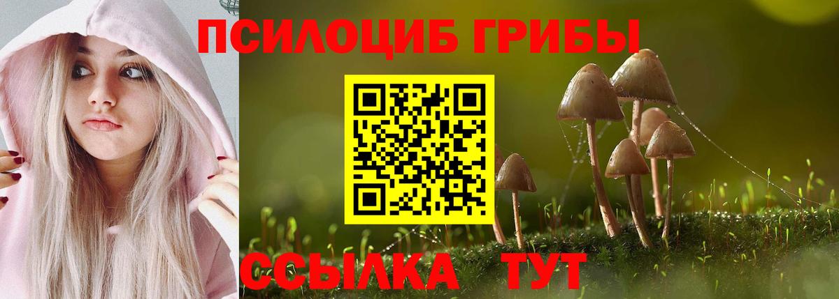 Псилоцибиновые грибы Magic Shrooms Кандалакша